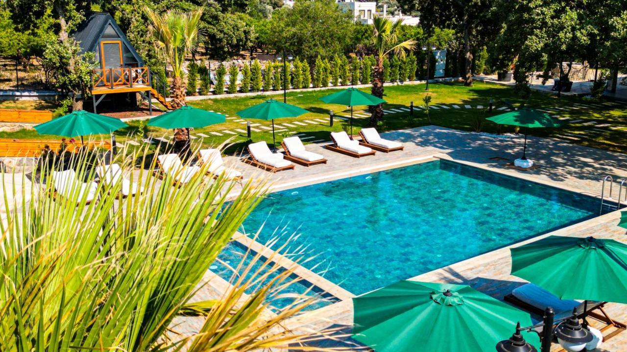 Elasu * Bodrum